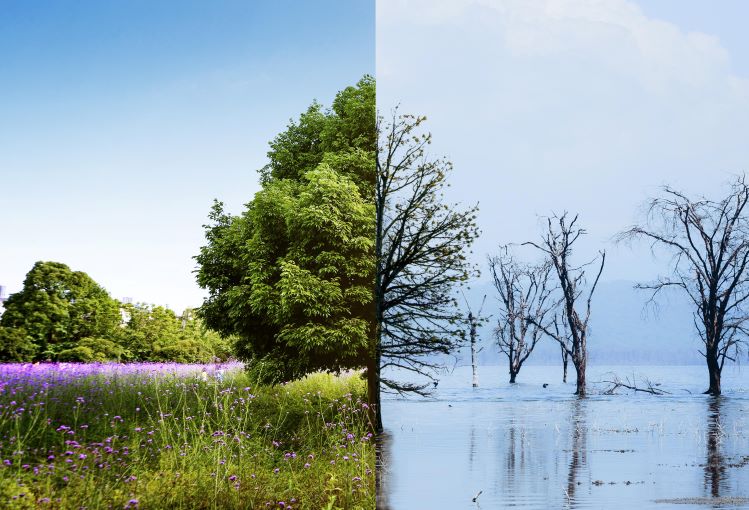 Climate change over time